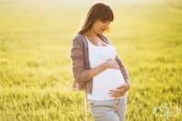 ��������� 5 ���� ������� �� ����� �� ����������