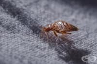 ��� �� �� ������� � ����������� � ���������� ��������