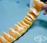 ������ �������� � ��������� �� ��� �����, ����� �� �� ������ ����� � �������