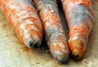 ��������� �� � �� ����������� �����, �� ����� ��� ���������� ������?