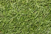 ���������� ������� � ������� �� ������ �������