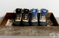 ��������� ���� ��������� ���� �� ���������� �� ������