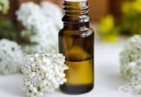 ��������� ���������� � ����� �� ��� ������ 