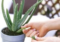 ��������� �� �������� ����� ���� �� ���������� ���� � ����