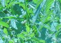 ��������� ��������� � ����� �� ������� �����