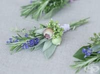 �������� �������� ����� �� �������� �����