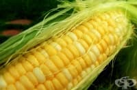 �������� �� �� ��������� ���������, ���������� ��������