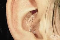 ���������� ������� ����� �� ����� � ������ ����� � ������� ��� 