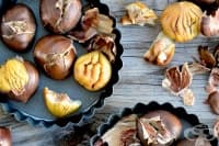 5 ������������ ����� �� �������� �������