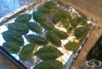 ��������� �� ������������ � ����� �� ������ ���� �� �������