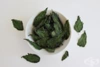 ��������� �� ������������ ���� �� �������