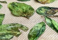 ���������� �� �������������� ���� �� ������