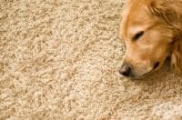 �������� ������ � �������� �����