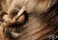 �������� ���� �������� � ���������� �������, �� �� ����� ����� � ������ ����