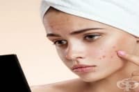 ��������� ������ � ����� �� ����� �����, ���� ���� � �������� �����