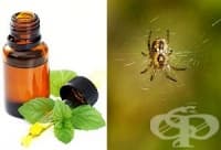 ������ ������� ����� �� ���� �� ���� ������� �����