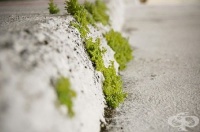 ������������ ��������� �� ������� � ������� �� ������ ����