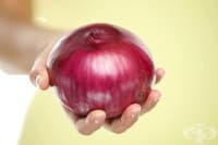Открийте 8 практични приложения на лука