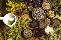 ����������� �������� ������ �������� � 6 �����