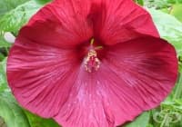 ������� ���� ����� ����� �� ������� ���������� �� ��������  