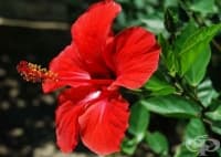 ������ ���������������� ���������� �� ������ � �������� � ������ �����