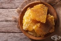 �������� 4 ������������ ����� �� ������������ �� ������ ����