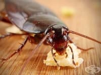 �������� ���������� �� ���� �� � ����������