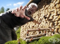 �������� �������� � ���� �� � �������