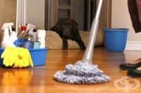 ����������� ���� ����� ������, �� �� ��������� ��������� �������� ��