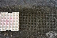 ����������� ���� �� ���� �� ��������� �� ����� � �����