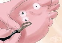 ����������� ������� �� ���������� �� ������ ����