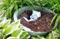 ����������� ������� �� ������� ����������� �� ������� ��� ������ � �����