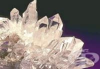 ����������� ��������� ������� ����� ����������� � ��������� �����