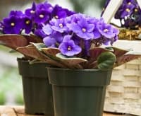 ����������� ����� ������� �� ������� � ������������ �� ������