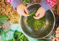 ����������� 10 ����� �� ���������� �� ����������� ����������