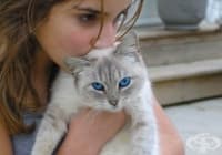 ����������� 14 �����, ����� ����� �� ������� ������ �� ����� ���������� �� �����