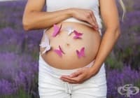 ����������� 5 ����� ��������, �� �� ��������� ������������ �� ��-����