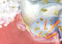 ����������� 6 ��������� ������ �� ���������� �� ������� �����