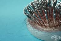 ����������� 6 �������� ������ ����� �������