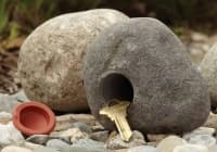 ����������� 7 �������� ������, �� �� ������� ������� ����