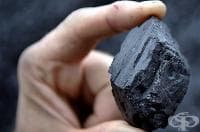 ����������� 7 ���������� �������� �� �������� ������