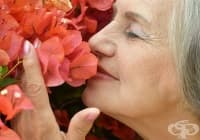 ����������� 7 ��������� ����� �� ���������� �� ������ � ����� �� ������