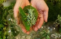 ����������� 9 ����� �� ����������� �� ������ � ������������