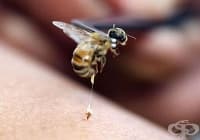 ����������� ������� ���� �������� �� ��������