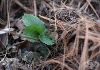 ����������� ������ ������� �� ������ ������� �� �����