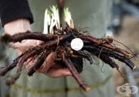 ���������� �������� �� ����� ���� ����� ���������� � ������� �����