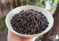 ����������� ����� ����� ����� ������, �����, ���� � �������