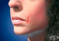 ����������� �������� ����� �� ����� ����� ����� ��������