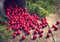 ����������� �������� �� ������� ��������� ����� ���� � ����������