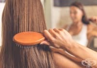 ����������� ����� �� ����, ����� � ����� ����� ���� � ��������� ����